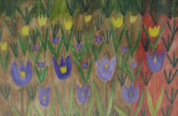 Dani „OZANOM“ ozareni