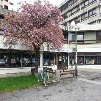 Knjižnica S. S. Kranjčevića