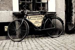 Mirela Šavrljuga: Žica za žbicu